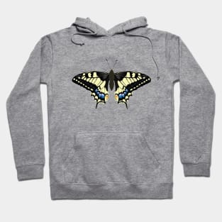 A swallowtail butterfly spreads its wings Hoodie